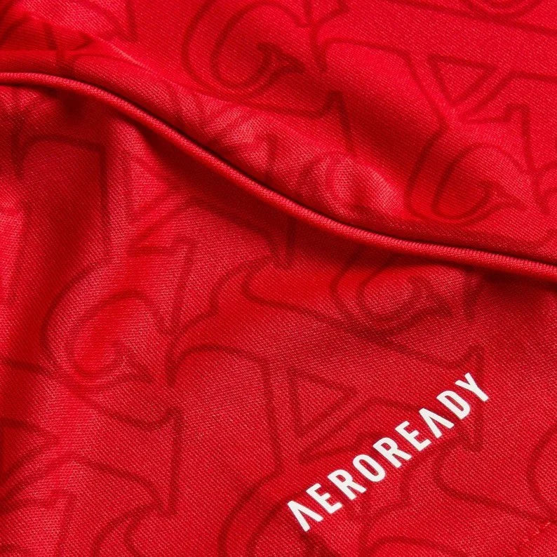 Arsenal Home Jersey 2025/26 Adults